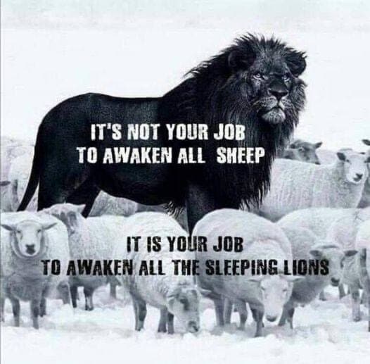 photo_2021-05-20_17-59-59