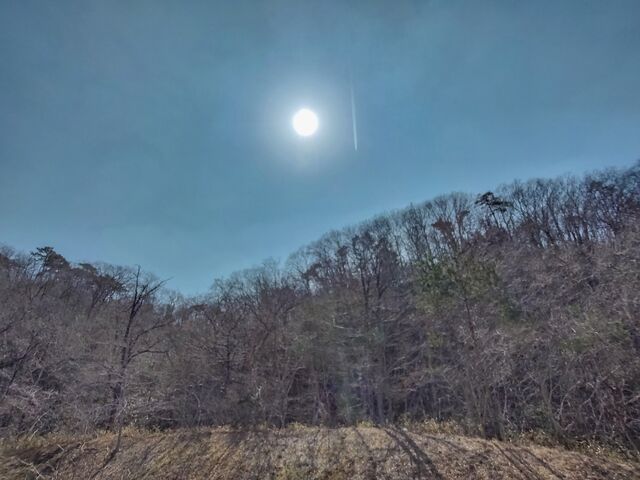 IMG_20220312_122350239_HDR_edited