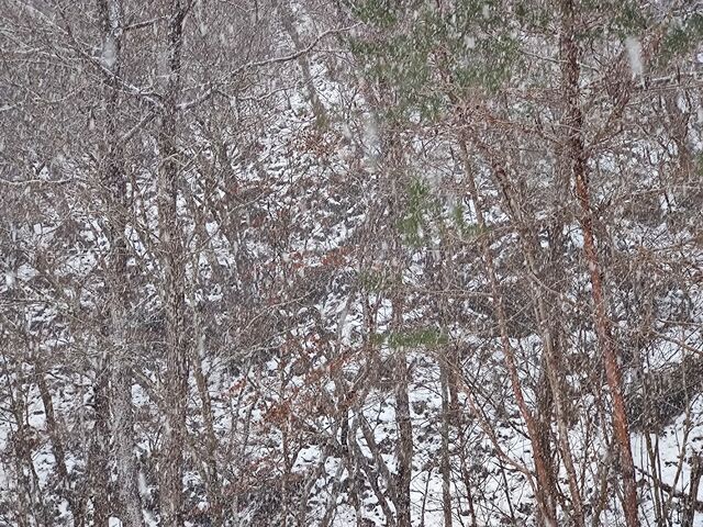 IMG_20211231_102913844
