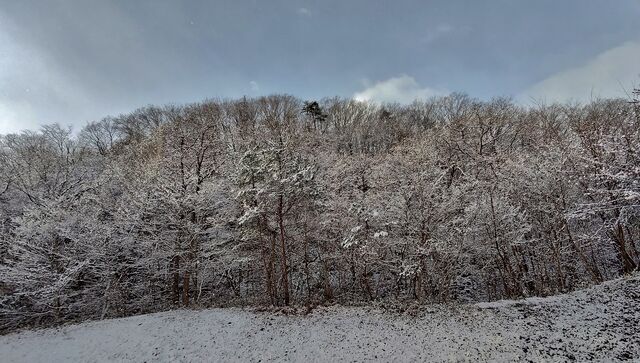 IMG_20230102_100254914_HDR