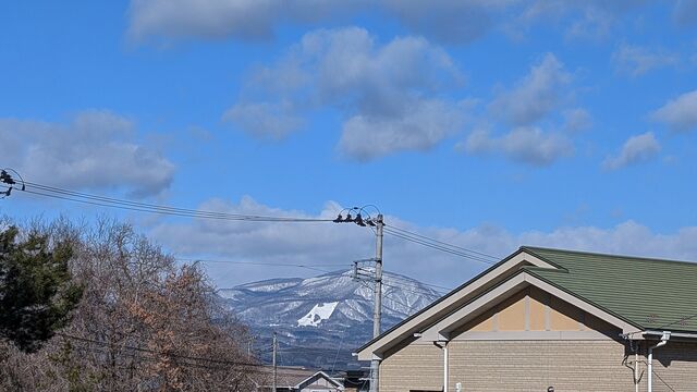 PXL_20260203_012803755