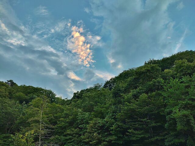 IMG_20220823_181305631_HDR