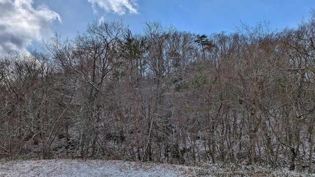 PXL_20260122_012200077