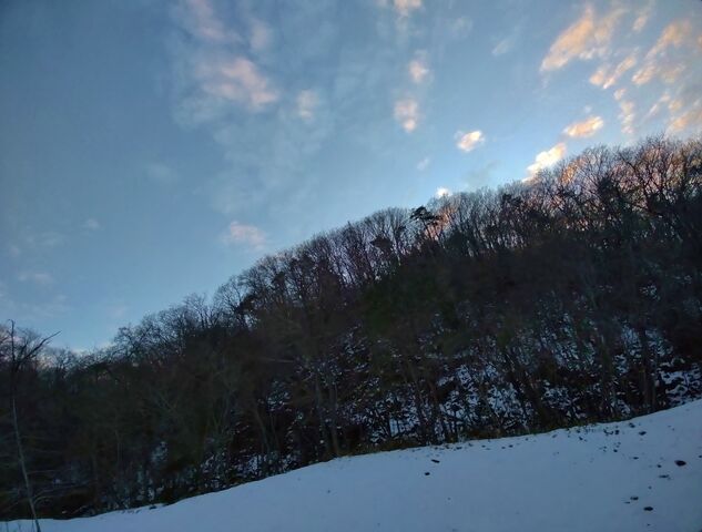 IMG_20220129_164242482