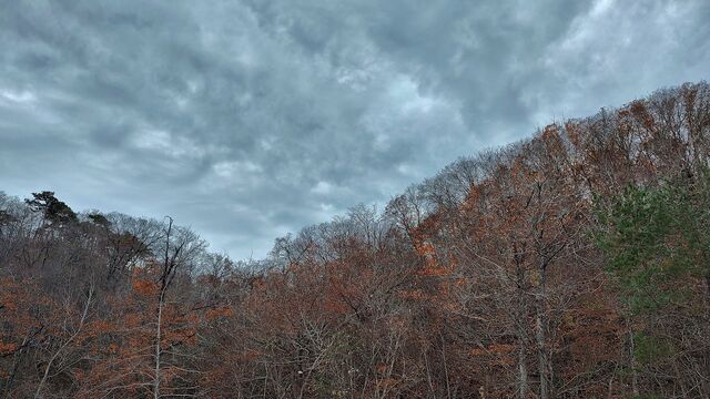 IMG_20221126_115001643_HDR