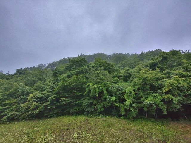 IMG_20220623_181116110_HDR