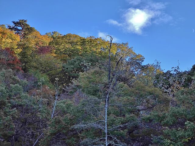 IMG_20221030_151823461