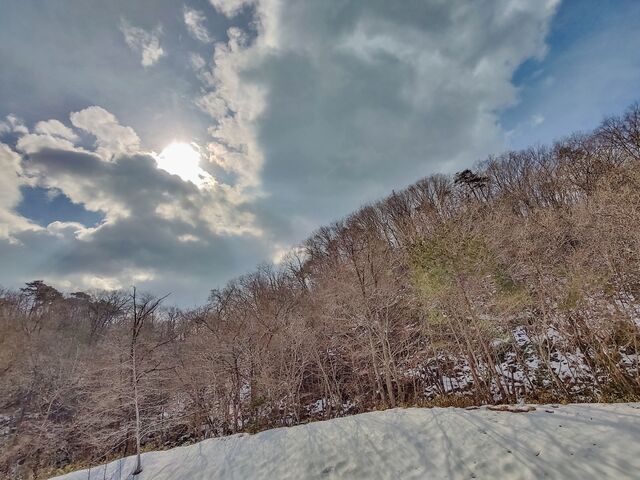 IMG_20220227_111945153_HDR_edited