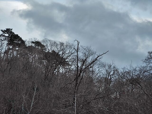 IMG_20220331_174144904