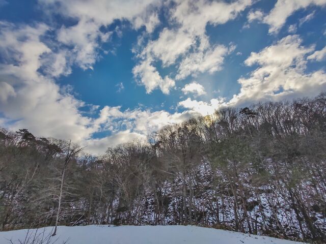 IMG_20220122_140035677_edited