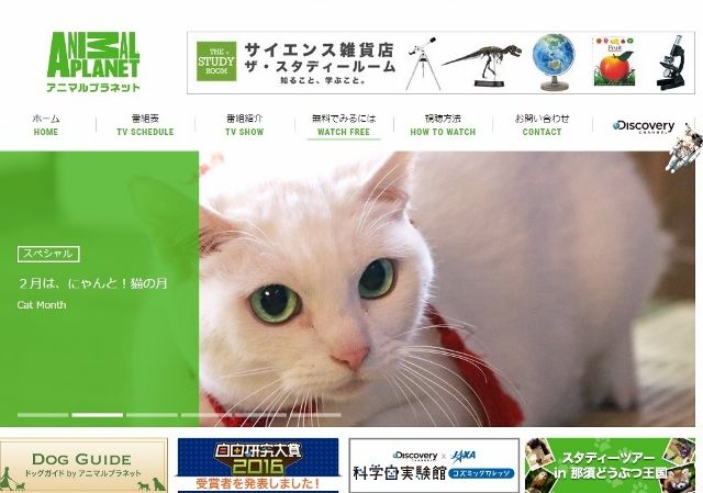 ̵animal (640x449)