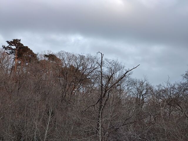 IMG_20220403_173956152