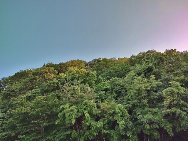 IMG_20220523_180458767_HDR