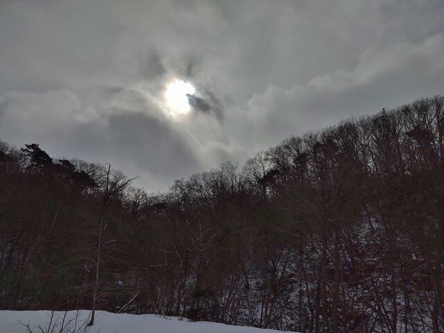 IMG_20220206_113128940