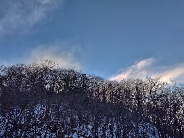IMG_20220217_164103831_HDR
