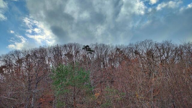 IMG_20221204_144654844_HDR-01