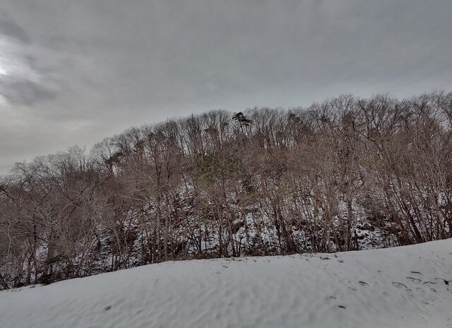IMG_20220213_104134825_HDR