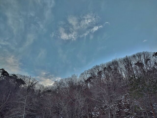 IMG_20220129_162224824_HDR