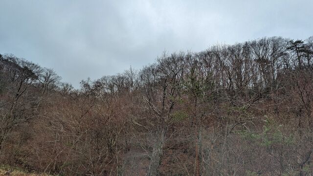 PXL_20260225_012426685