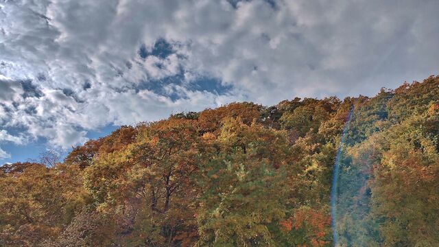 IMG_20221105_101919287_HDR