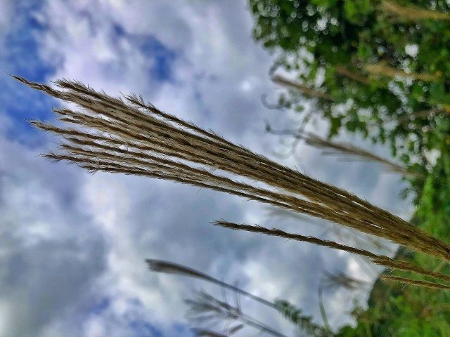 IMG_E1477 (640x480)
