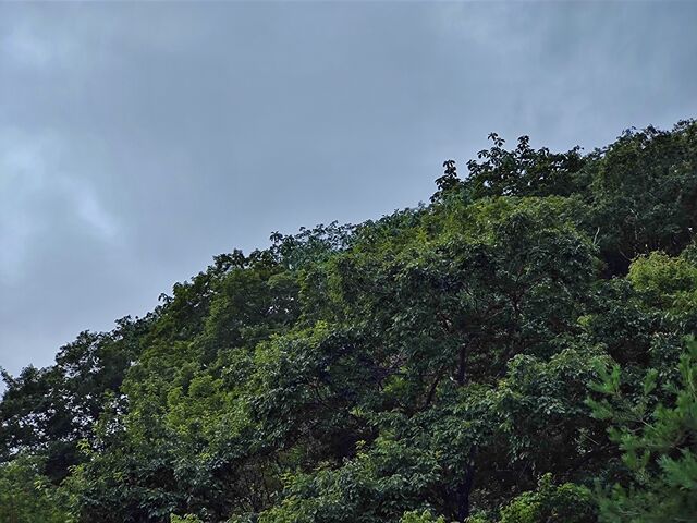 IMG_20220827_174640954