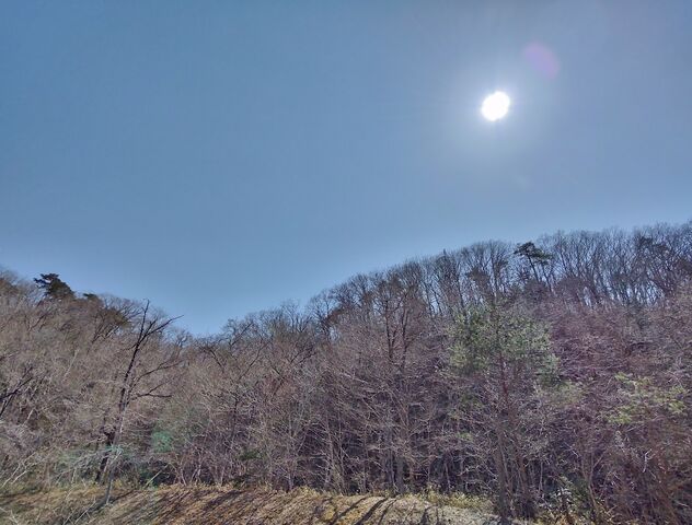IMG_20220409_134443982_HDR