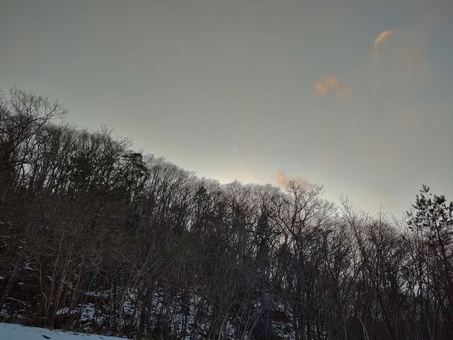 IMG_20220204_164108575