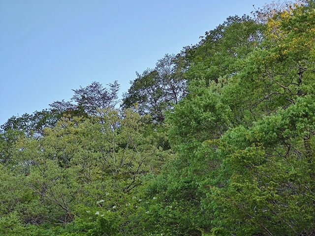 IMG_20220503_173357859