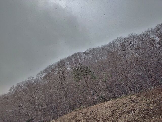 IMG_20220322_113341545_HDR
