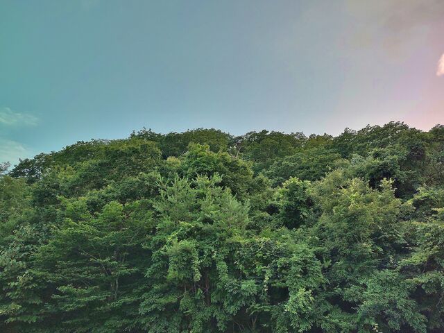 IMG_20220728_183324467_HDR