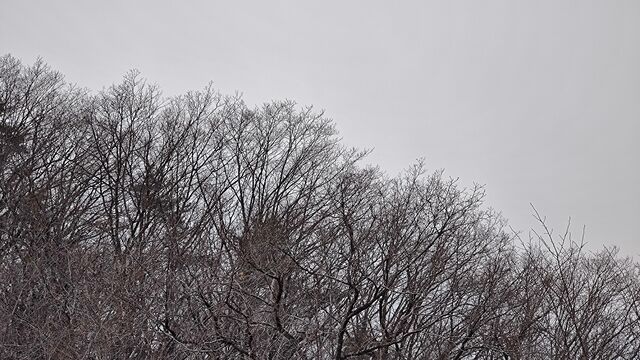 IMG_20230107_103545632