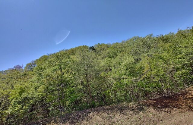 IMG_20220430_110057809_HDR