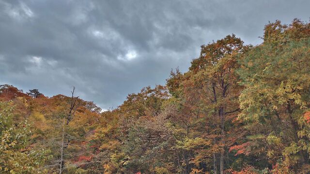 IMG_20221105_095414895_HDR
