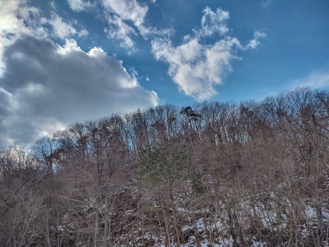 IMG_20220227_110913913_HDR_edited