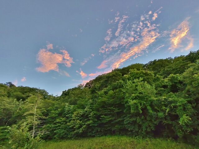 IMG_20220723_190116215_HDR
