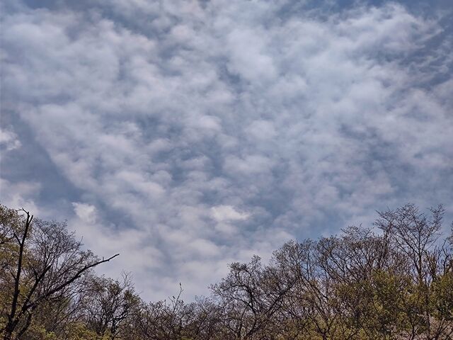 IMG_20220423_111959091