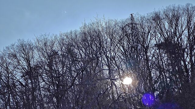 IMG_20221211_133828907
