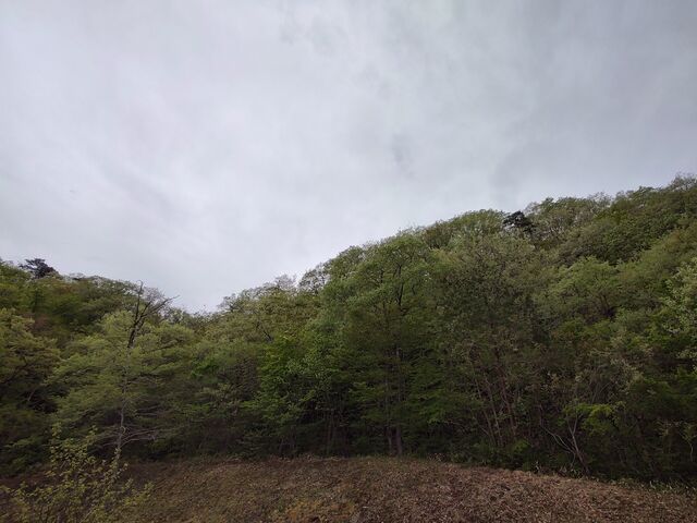 IMG_20220501_072801789_HDR