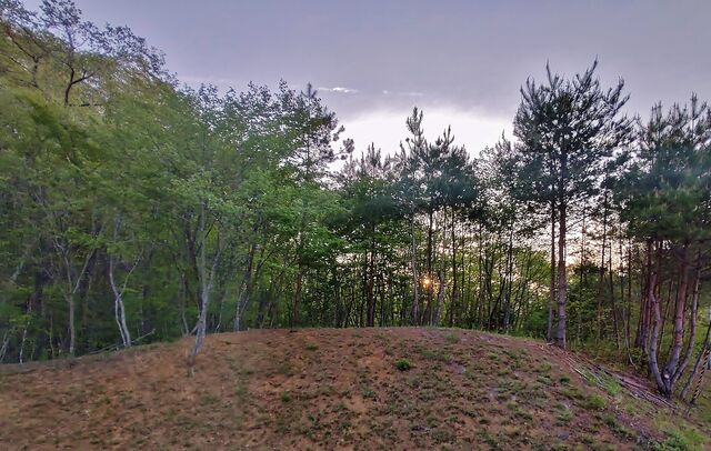 IMG_20220428_175423527_HDR