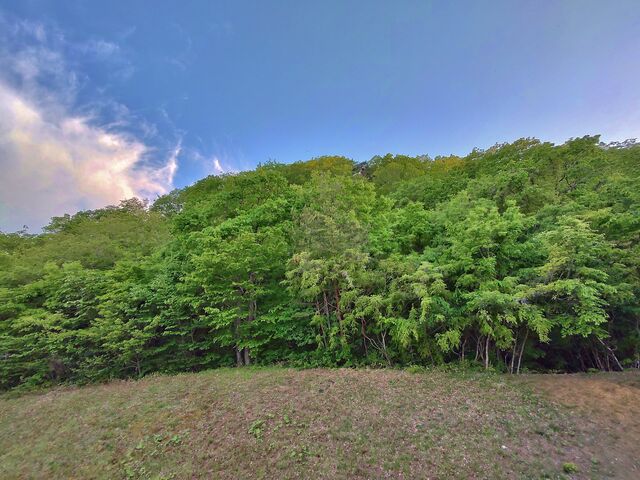 IMG_20220509_181141763_HDR