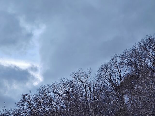 IMG_20220331_174154598