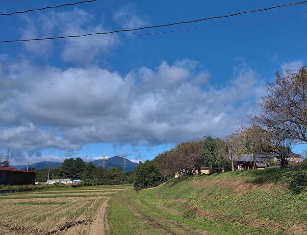 IMG_20221008_095510141
