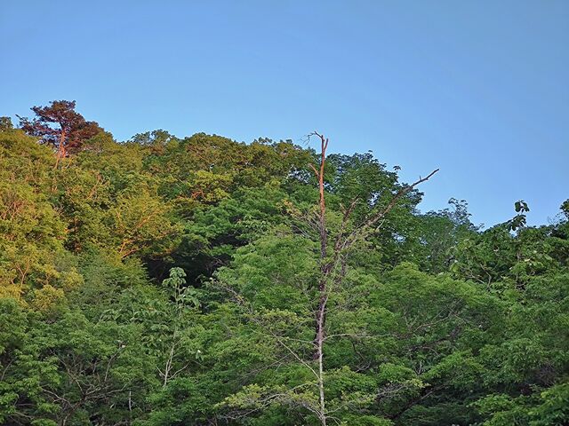 IMG_20220518_181551762