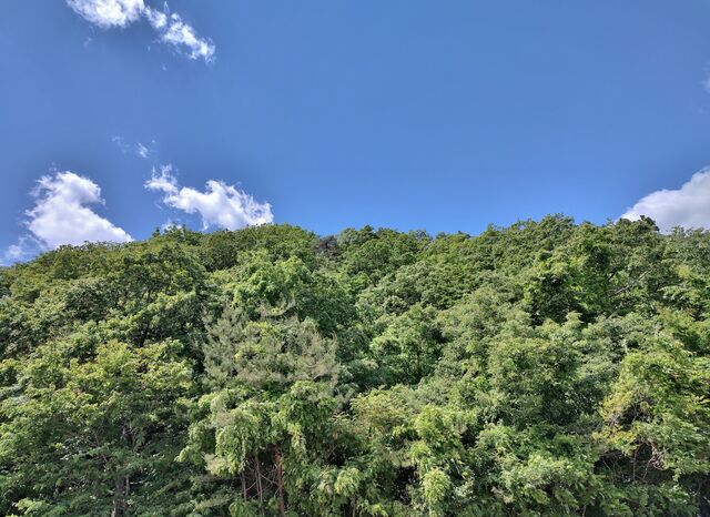 IMG_20220528_104745390_HDR