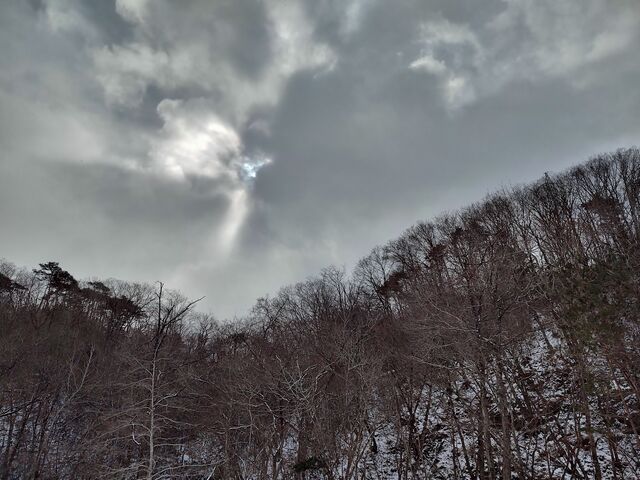 IMG_20220206_112914273_HDR