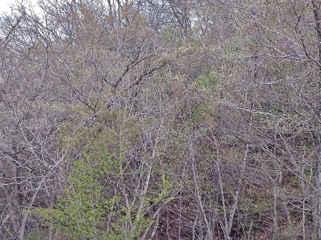 IMG_20220419_182334442