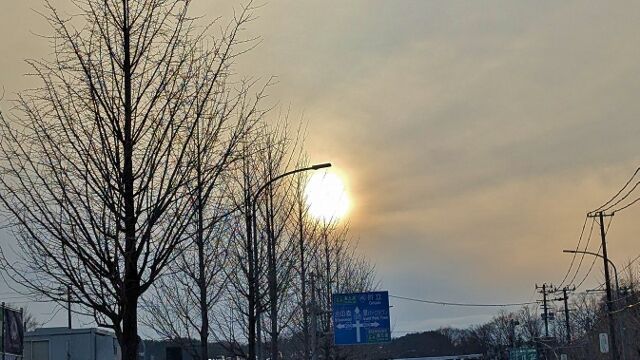 PXL_20250308_075153686 (640x360)