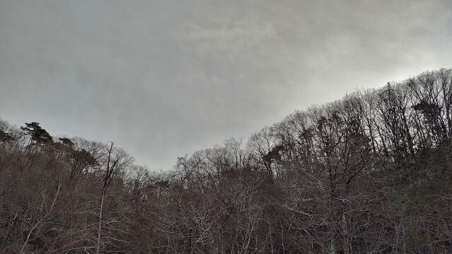 IMG_20221218_141954457_HDR