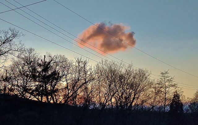 IMG_20220202_163607500